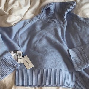 Aritzia 100% wool turtleneck